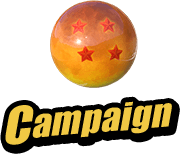 Campaign
